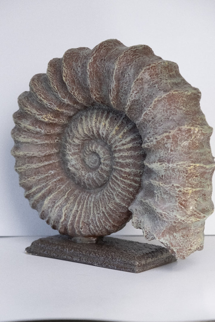 Fossil