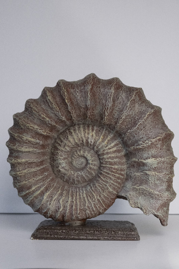 Fossil