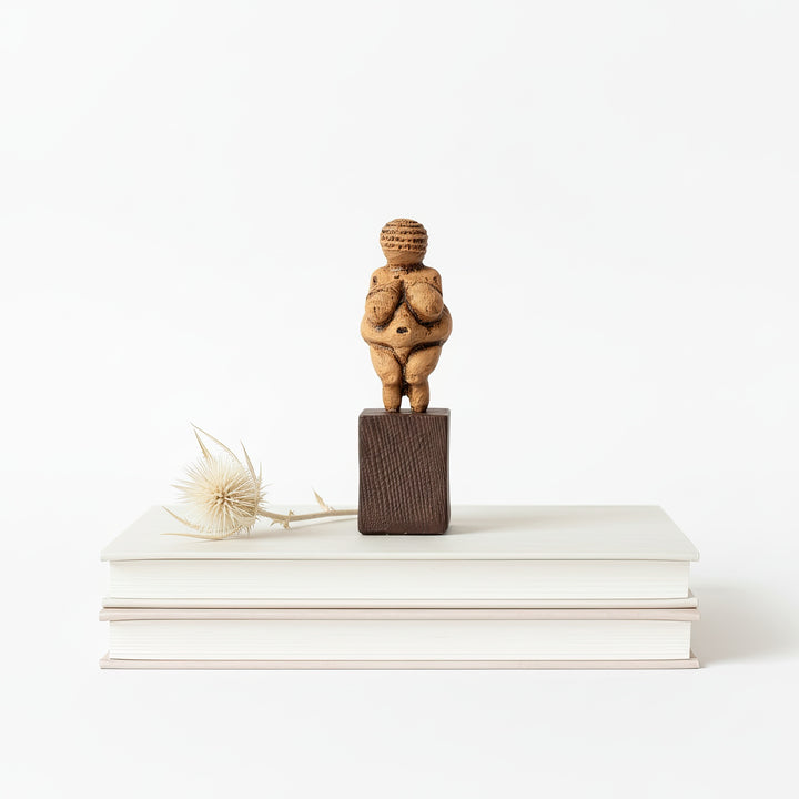 “Venus of Willendorf statue placed on top of stacked books with a white background, emphasizing minimalist elegance and historical charm.”
TR:
“Beyaz arka plan önünde kitap yığını üzerinde sergilenen Venüs of Willendorf heykeli; minimalist zarafeti ve tarihi cazibesiyle öne çıkıyor.”