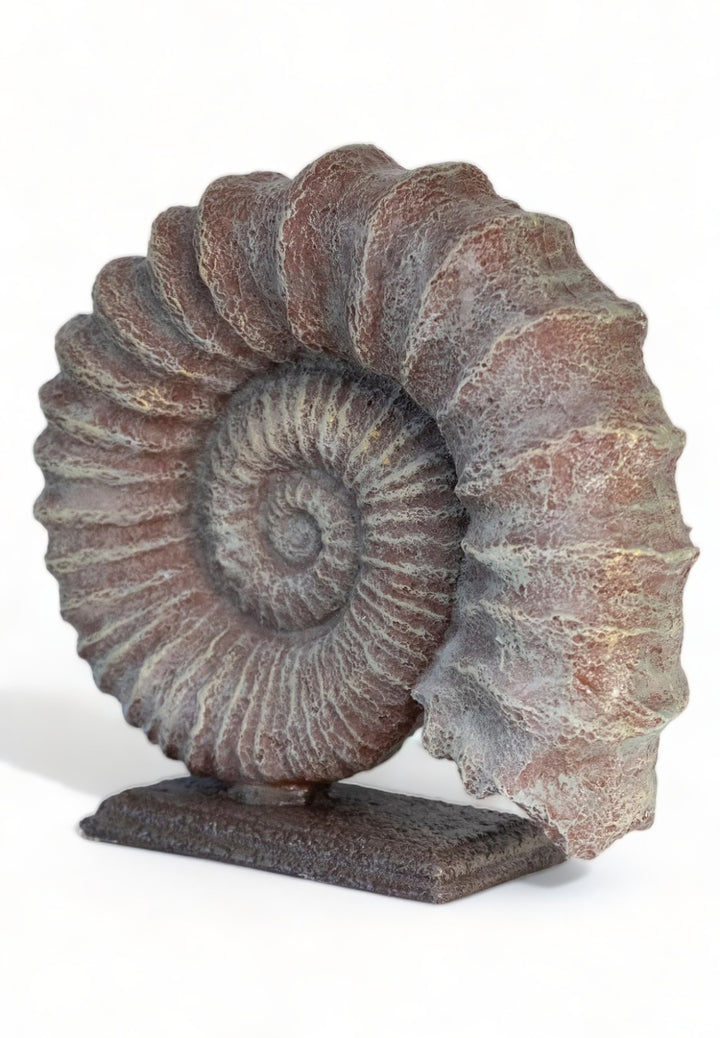 Fossil